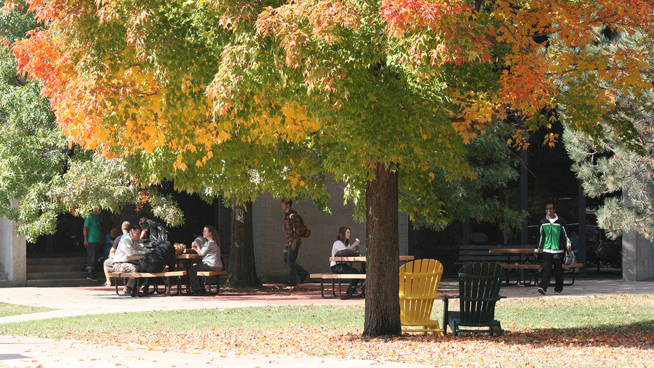 Century College campus with colorful fall leaves
